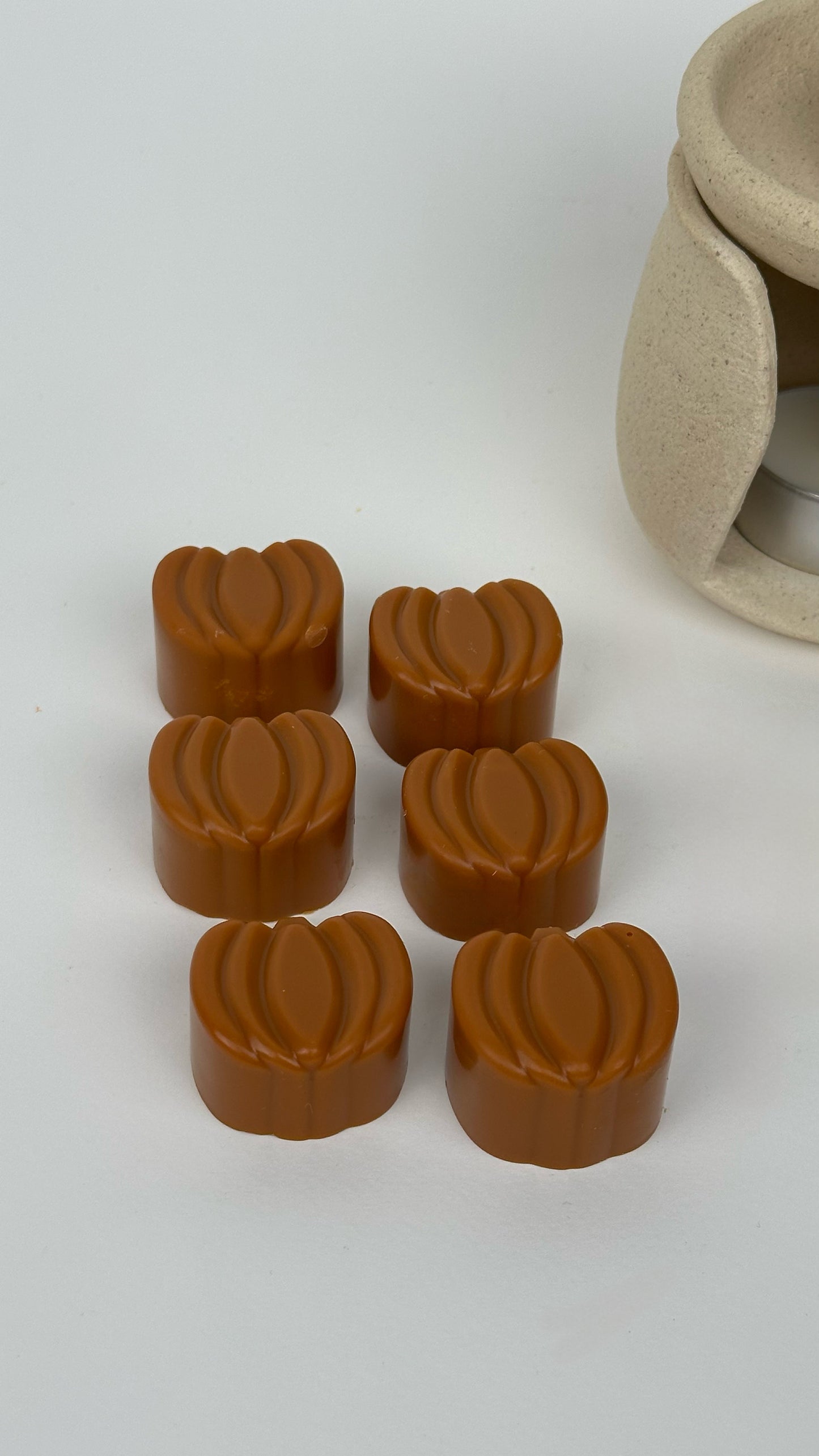 Aesthetic Pumpkin Shape Wax Melts (8pcs)