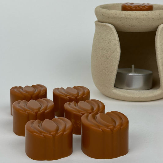 Aesthetic Pumpkin Shape Wax Melts (8pcs)