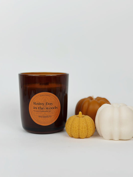 Wet Soil & Fir Scented Candle in Amber Jar